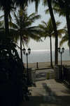 Springfield Beach Resort 